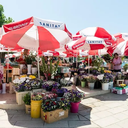 Adea Ντουμπρόβνικ